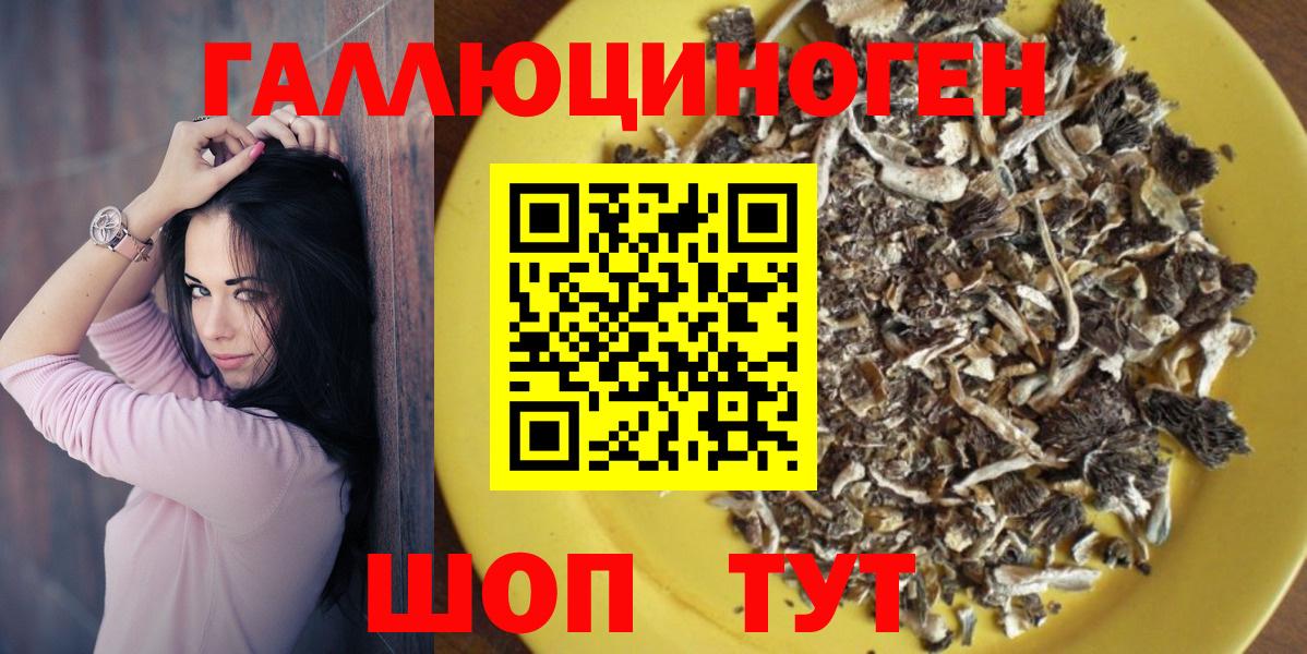 Псилоцибиновые грибы GOLDEN TEACHER Долгопрудный